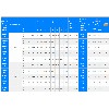 NFL BADEM RULMAN YATAĞI
