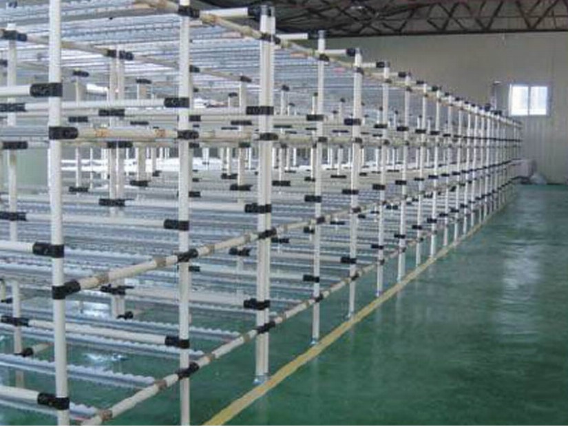 Dynamic Racking - Conveyor part